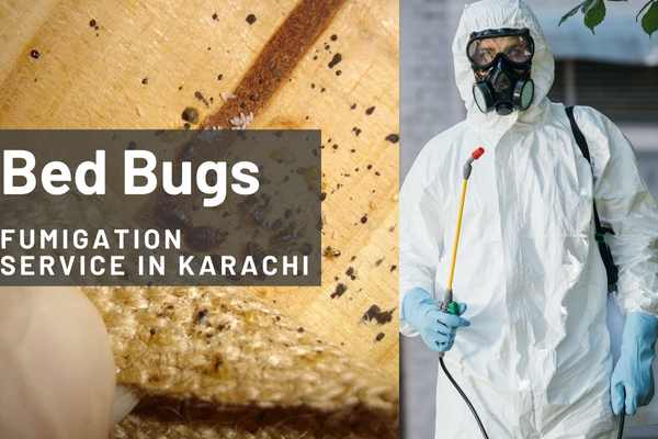 bed bugs fumigation in karachi