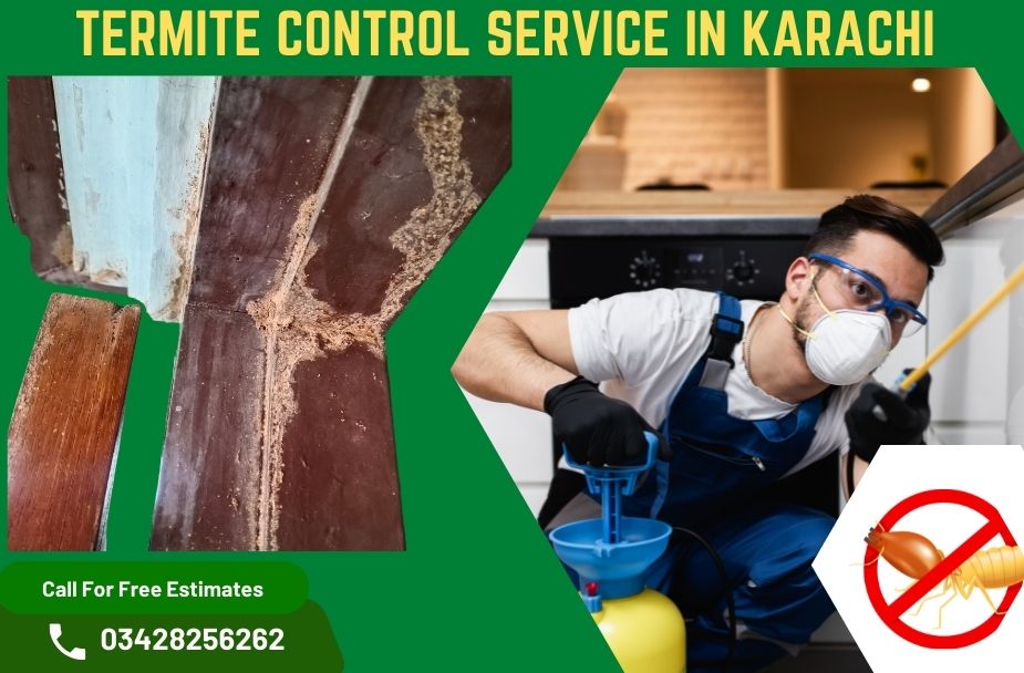 termite control service in karachi
