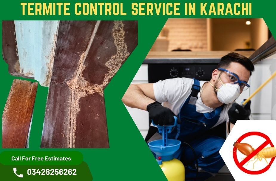 termite control service in karachi